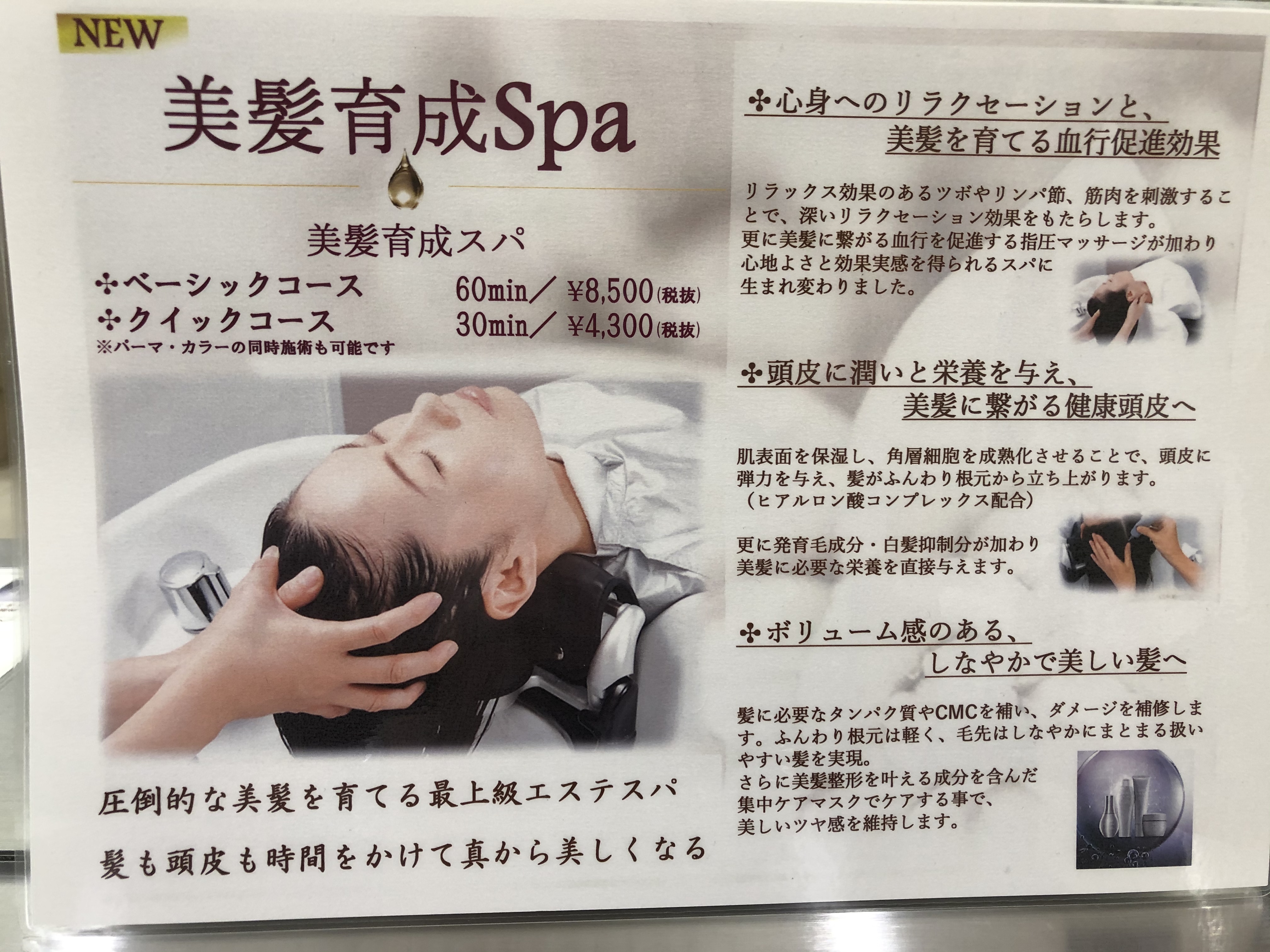 ヘッドスパがリニューアル Za Za 茗荷谷店 美容院 美容室 ヘアサロンならza Za ザザ