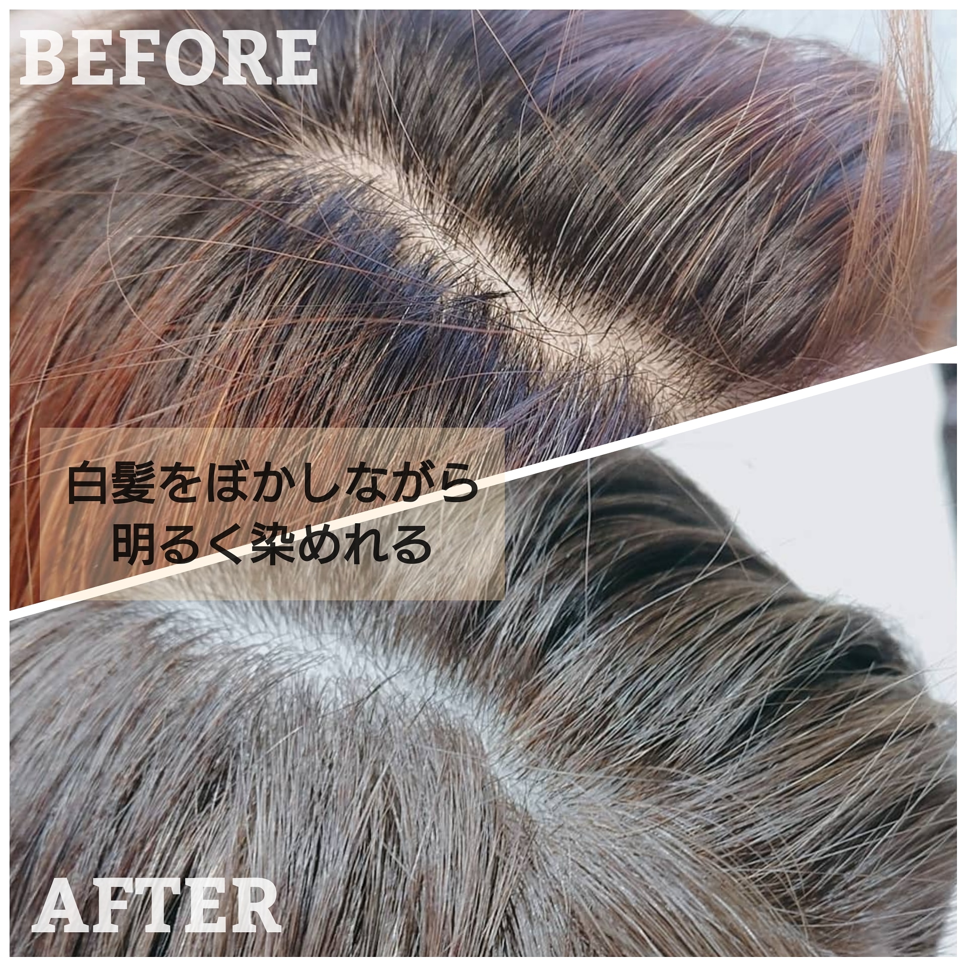 茗荷谷 美容室 3月start Za Za 茗荷谷店 美容院 美容室 ヘアサロンならza Za ザザ